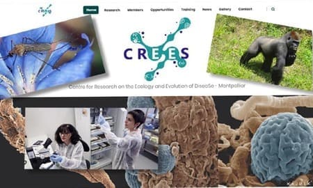 Activités du CNRS recherche virus site vitrine réalisé par l'agence crealys de montpellier dans l'Hérault