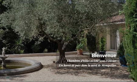 Location chambres gite sous l'olivier site vitrine réalisé par l'agence web crealys de montpellier dans l'Hérault