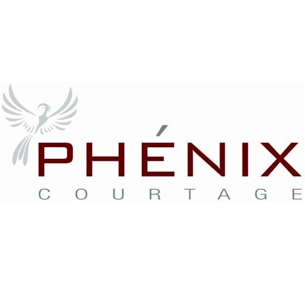 Création site internet Phenix courtage assurance emprunteur par l'agence web Crealys sur Montpellier