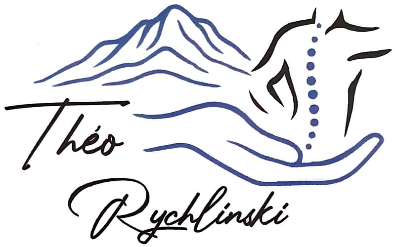 création site vitrine par l'agence web Montpellier dans l'Hérault - Logo Cabinet osthéopathie aix en provence