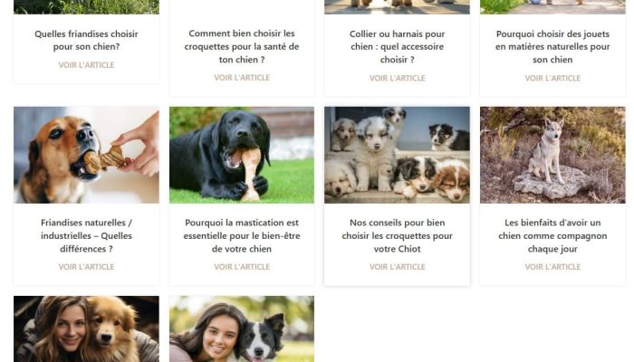 Boutique canine etude de cas - actualités du site ecommerce