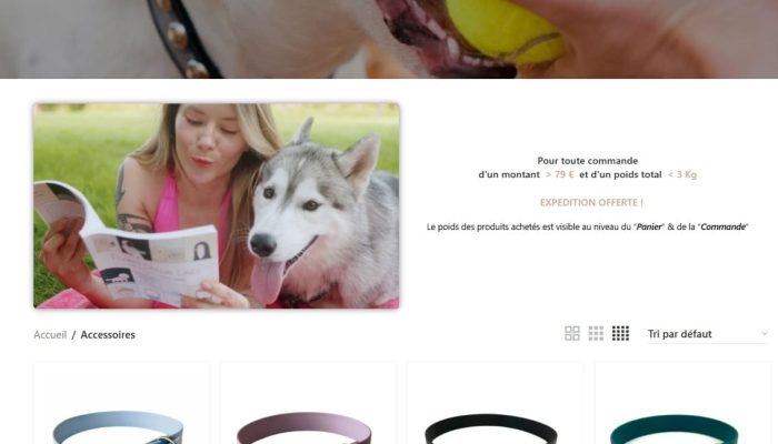 Boutique canine etude de cas - gamme accessoire pour chien